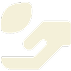 icon home 2